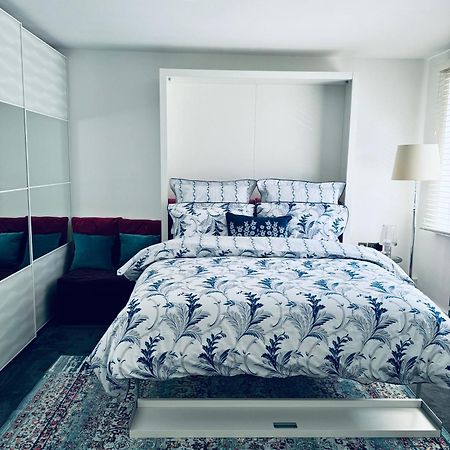 Central London Stylish Newly Decorated Studio Flat Екстер'єр фото
